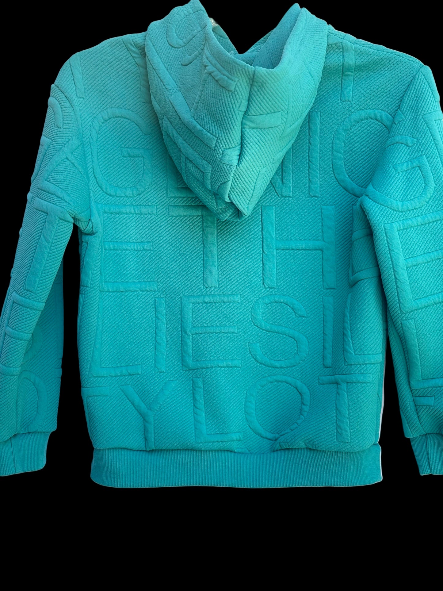 SHEIN tween boy letter embossed patched detail hooded sweatshirt, size10-12 yr