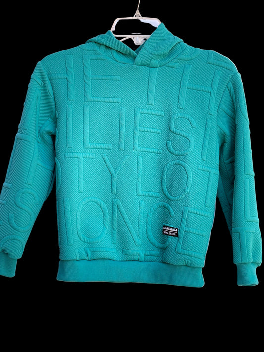 SHEIN tween boy letter embossed patched detail hooded sweatshirt, size10-12 yr